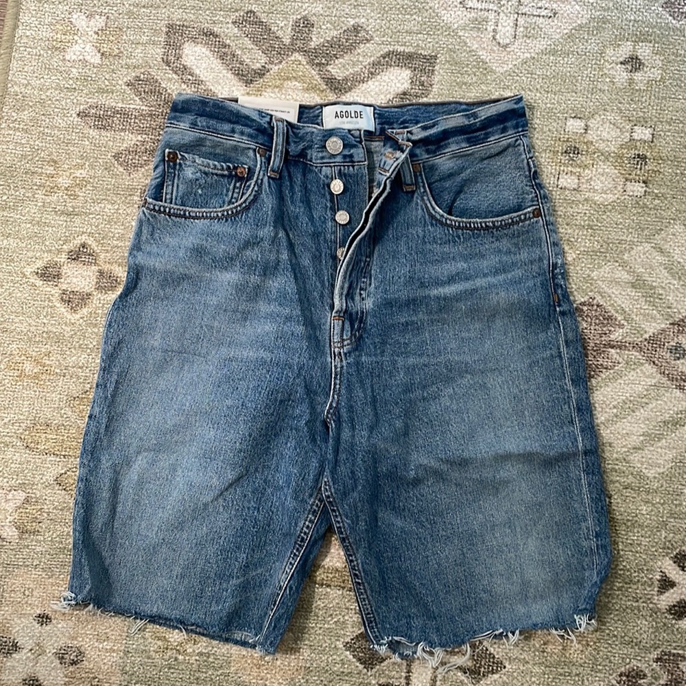 NEW 90s Pinch Waist Agolde short